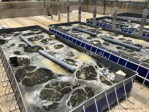 水产养殖业的发展前景 水产养殖处理设备图片 高清大图 谷瀑环保