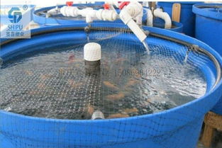 【资阳泥鳅养殖水产养殖设备泥鳅养殖桶水产养殖桶厂家直销塑料养殖桶】-