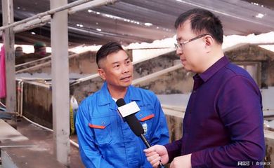 食安社区探访流沙湾海水养殖基地