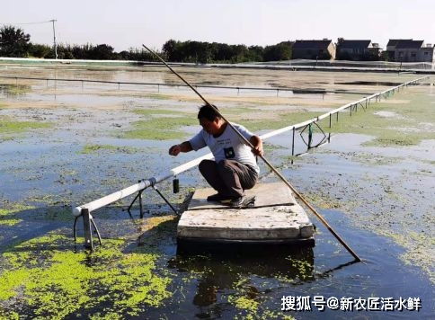 深耕活水养殖技术 为水产养殖业赋能