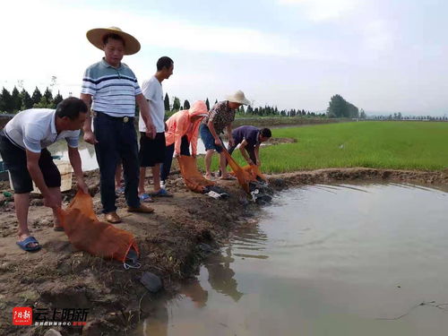 李相珊依托水产养殖技术推广解锁 致富密码