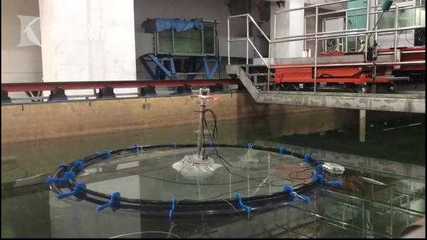 “深远海养殖技术发展国际研讨会”在临港召开