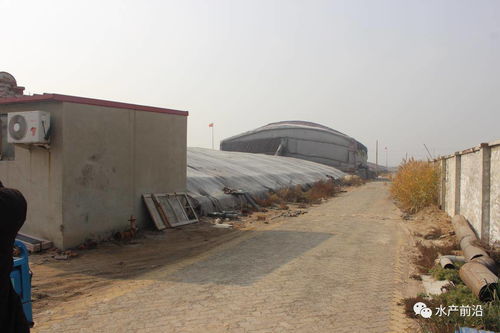 饲料营养如何堪比活饵 工厂化排水如何环保 高投入下是否意味着高收益