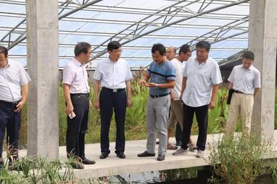 赵卫星书记调研农业产业发展:要全力打造成为乡村振兴战略先行区