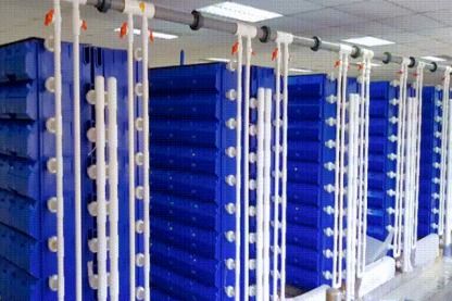 梭子蟹住进 蜕壳公寓 ,新型水产养殖正在兴起