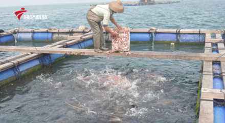 “科技环保 共建绿色广东”广州市通四海生物科技