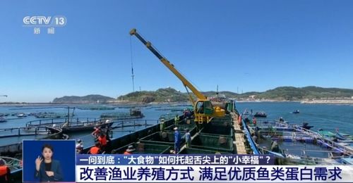 大食物 如何托起舌尖上 小幸福 水产养殖产业这样发展