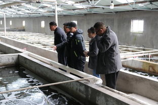天津市水产产业技术体系创新团队首席专家邢克智教授带队赴东丽区 滨海新区指导水产养殖工作