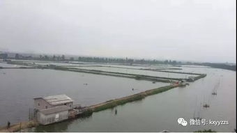 鱼虾蟹混养技术要点 淡水养殖 水产养殖百科 水产养殖网