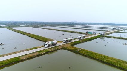 养鱼就是养水,厂家如何研发有效调水产品?|陈昌福专栏