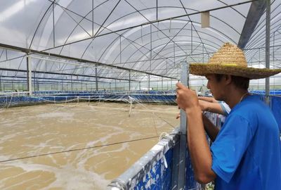 三名80后投资帆布工厂化养虾,不换水、零排放,亩产3300斤!