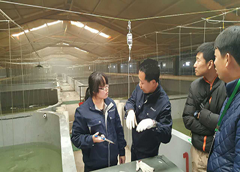 告别“嗑药”鱼!我国首个海水鱼活疫苗投产应用_新闻_央视网(cctv.com)