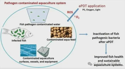 水产养殖出新利器 这项新技术,能够改变整个养殖行业吗