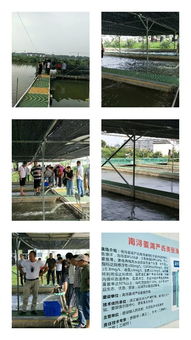 浙江武义职技校培训中心组织水产养殖班到嘉兴湖州培训学习
