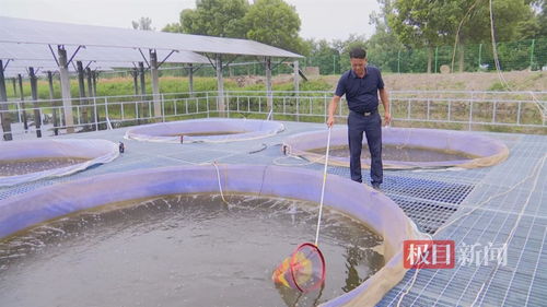 湖北江陵探索水产养殖 零排放 模式