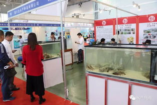 养殖转型,这里或许有适合你的产品与技术