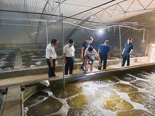 东营市人民政府 部门动态 市海洋发展和渔业局局长荆向辉带队开展 进渔村 入渔港 上渔船 访渔民 活动