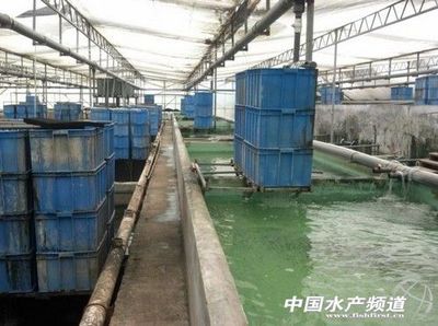 北京研发绿色高效水产养殖生物料 - 饲料营养 - 中国水产频道 | 网聚全球水产华人