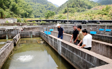 现代养殖人都用这个方法驱赶“水质恶化”这只“拦路虎”!