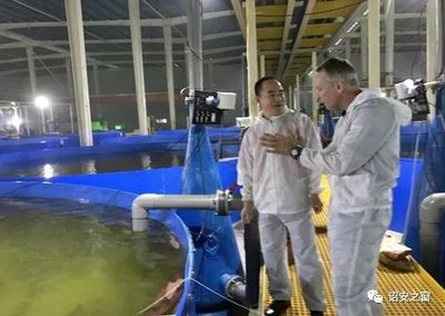 地产大亨转身成为现代渔夫