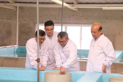 正大集团水产事业首席运营官Dr. Sujint一行莅临正大集团农牧食品企业(中国)中南区指导小龙虾产业发展