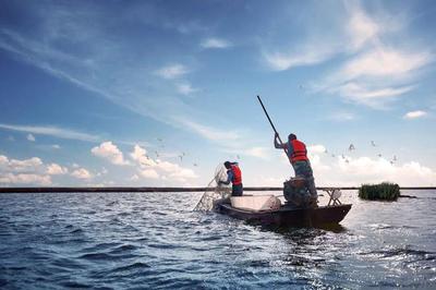 养鱼就是养水,厂家如何研发有效调水产品?|陈昌福专栏