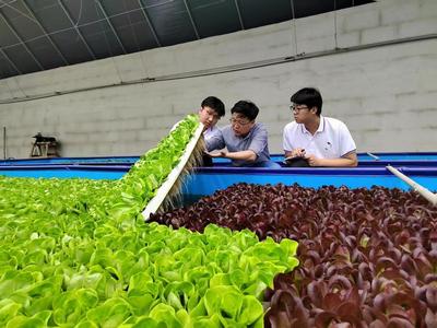 银川市西夏区人民政府