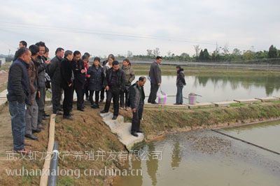 【*来武汉虾龙水产养殖开发开展龙虾养殖技术研发工作图片】*来武汉虾龙水产养殖开发开展龙虾养殖技术研发工作