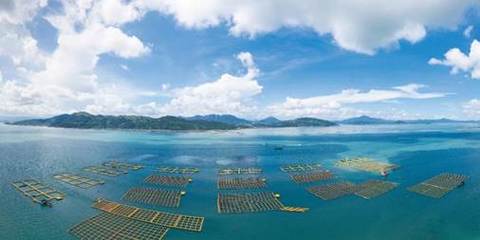 黄海水产研究所3项技术入选农业农村部2023年农业主推技术