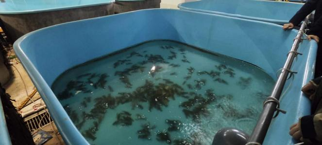 王春琳-夜深人静更想你- 全民k歌,ktv交友社区