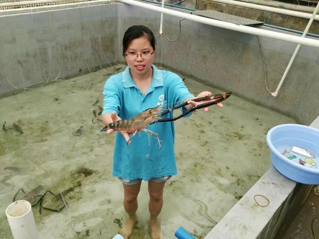 广东18人上榜!首届“全国乡村振兴青年先锋”评选结果揭晓