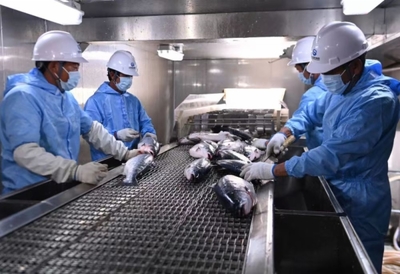 山东省人民政府国有资产监督管理委员会