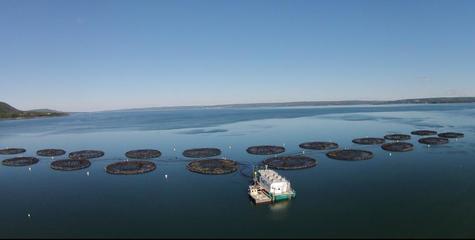 福建国际朋友圈之美洲篇--走进“加拿大海洋游乐场”新斯科舍省