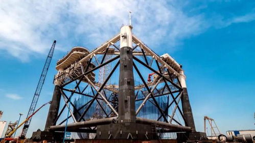 对话大国渔院士麦康森 用颠覆性技术生产新蛋白源,端稳水产养殖 金饭碗