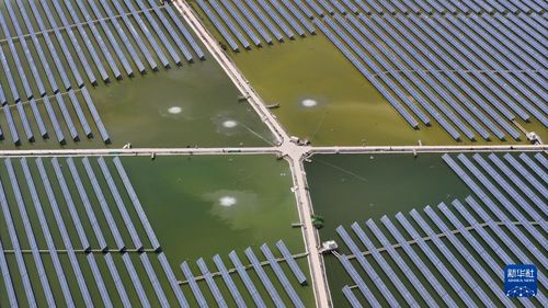 水上光伏 渔光一体 低碳发展