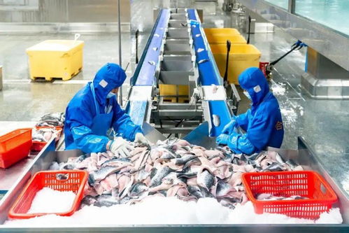 科技引领龙头带动,三水都市农业绽放光彩 奋战百千万 三水谱新篇 系列图集