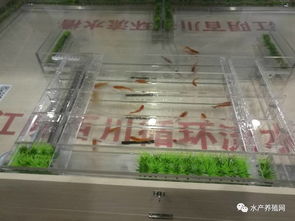 这才是属于水产养殖人自己的展会,100多家动保 设备 饲料企业齐聚华中,带来新产品 新技术 新模式