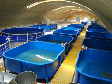 工业化养殖工程学研究与装备研发-中国水产科学研究院渔业机.