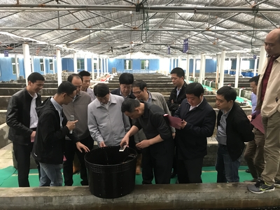 全国水产技术推广总站张锋书记到晋江福大鲍鱼水产调研