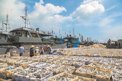 漳州:海岛“吃海”记