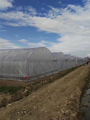 大棚钢架水产养殖大棚规格齐全