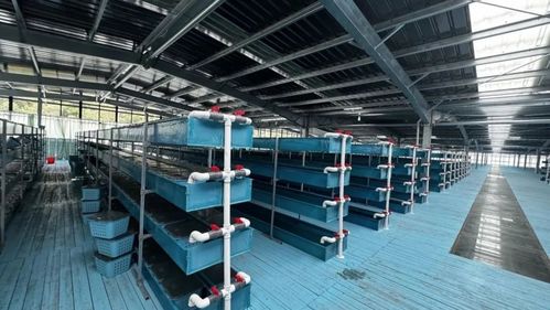 浙江三门 基层渔技员的考场在塘头