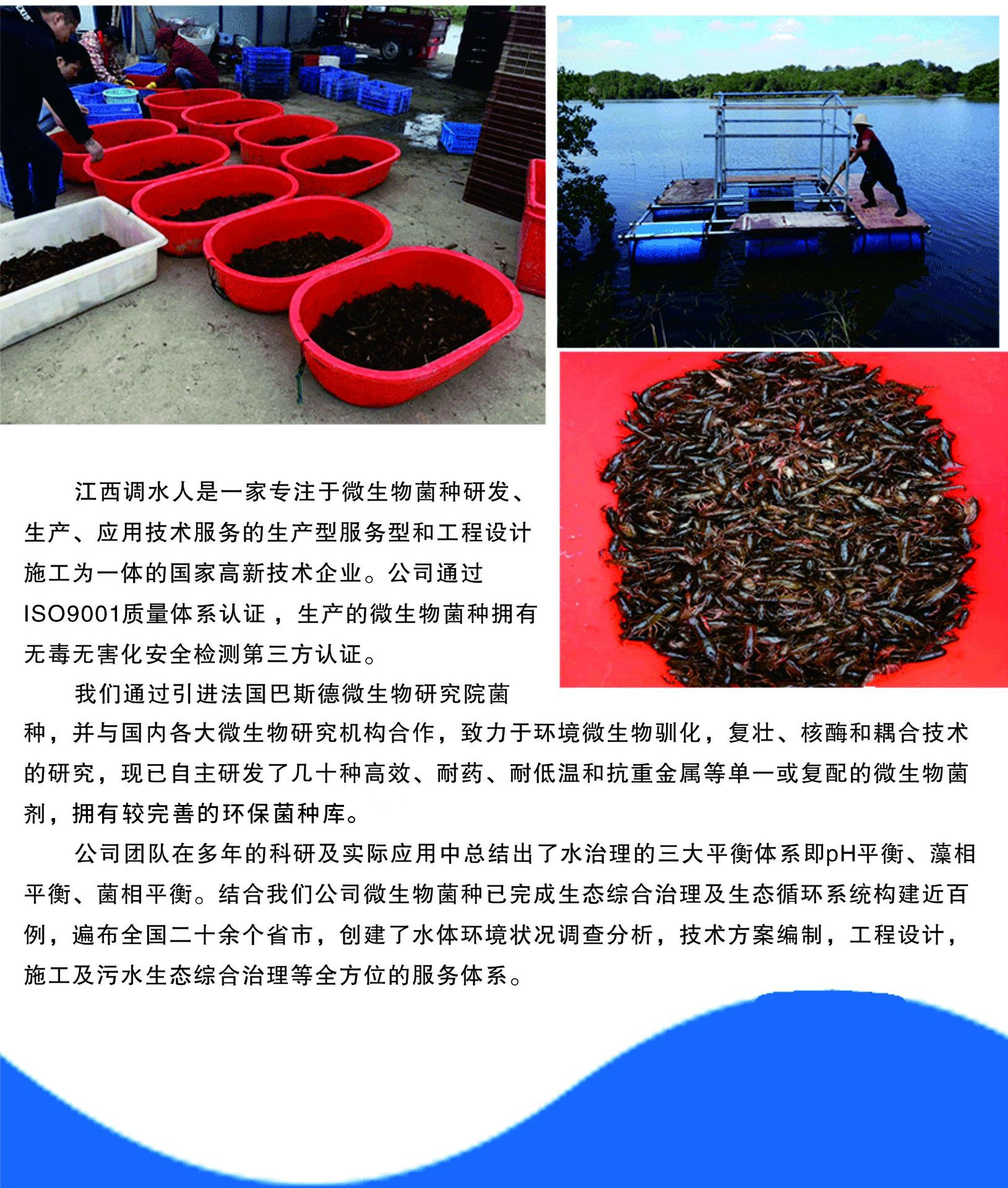 em菌水产 鱼虾蟹塘净水改底调水em菌粉 水产养殖em菌种em菌