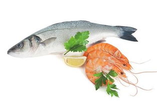 青企打造水产养殖云服务平台