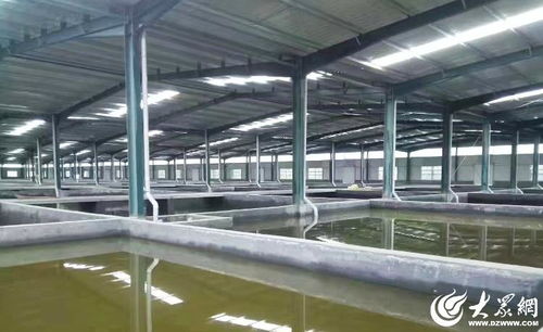 菏泽 水产绿色健康养殖 五大行动 助推渔业养殖转型升级