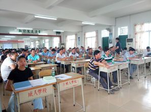 新会区人民政府