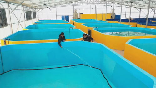 从沙漠盐碱到 鱼虾满仓 和田县新一年备产正酣