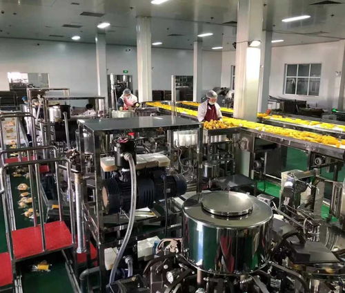 中共吉林省委金融委员会办公室 吉林省地方金融管理局