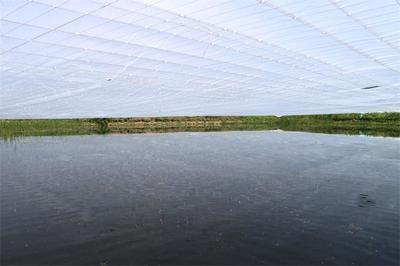 伊通满族自治县人民政府