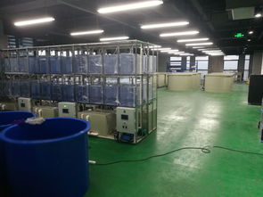 科创组团, 工业化淡水水产养殖研发中心 瞩目而成